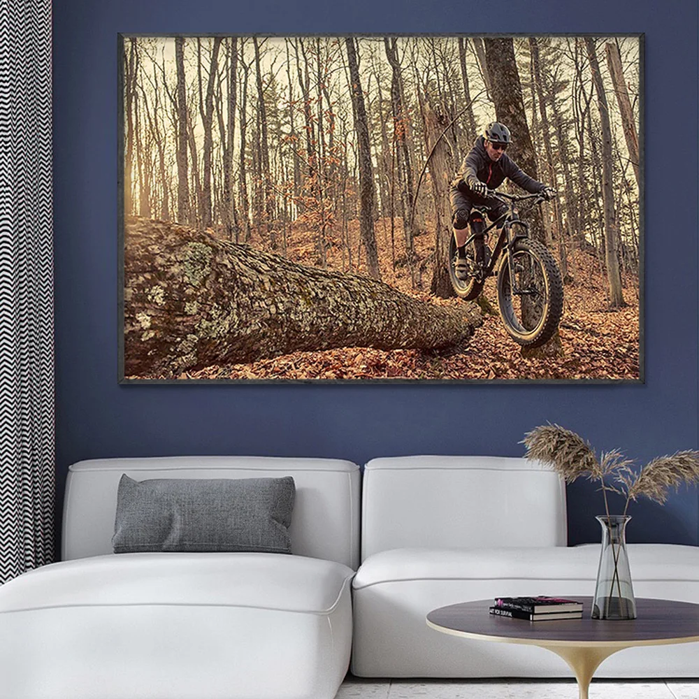 SP082 Silk Cloth Wall Poster M - Mountain Biking Movies ulasan dan harga