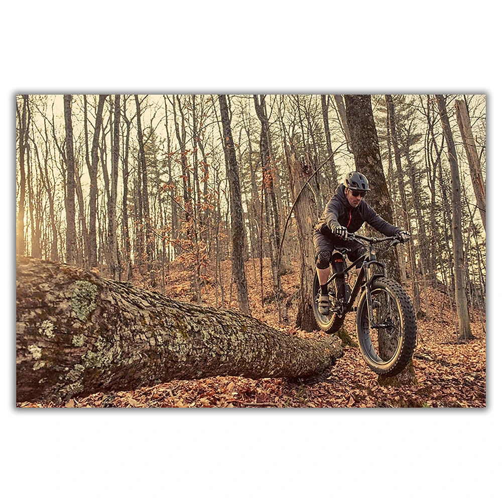 SP082 Silk Cloth Wall Poster M - Mountain Biking Movies ulasan dan harga