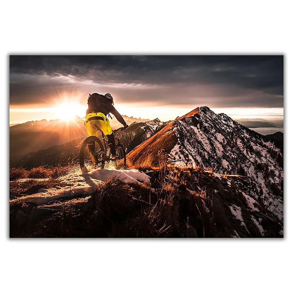 SP080 Silk Cloth Wall Poster M - Mountain Biking Movies ulasan dan harga